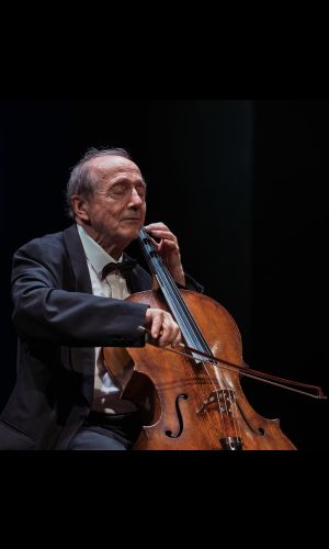 Kamarazene és nagyzenekar